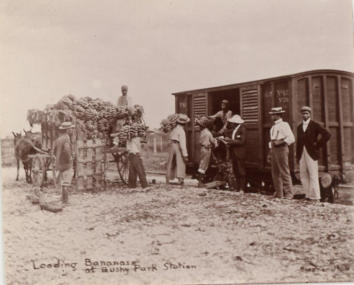 Loading Bananas at Bushy Park Station