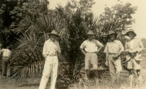 F.H.P., Lowlign, Clifford, Koutyle