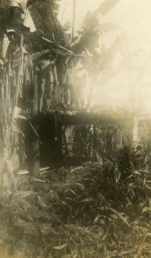 Tuam Lauqub's house.  Fa Lupina.