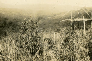 View accross Trusan valley from Ulu Teugoa.