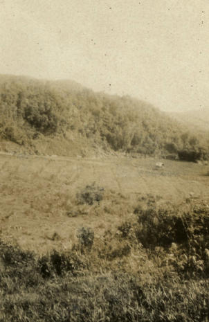 Padi.  Bak County.  Ulu Trusan.