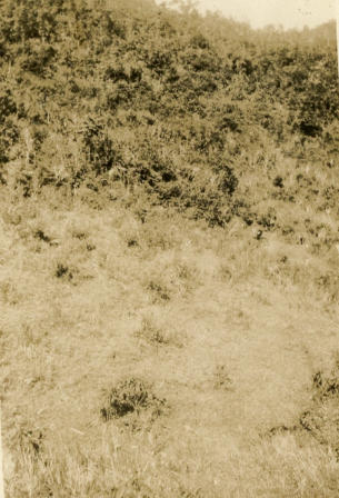 Hillside praying ground.  Bak County.