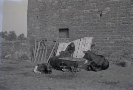 Caber Farm, Croglin, Lake District - 1950s