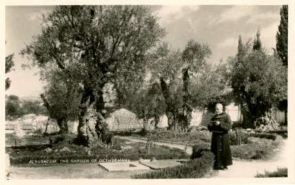 Jerusalem.  The garden of Gethsemane