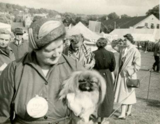 Best in show non sporty, 1st.  Pekingese and owner.