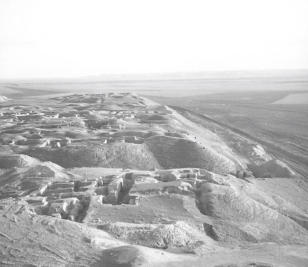 Dunes from Zysaet  10.3.56
