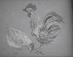 Georgina "Cock & Hen"  6.58