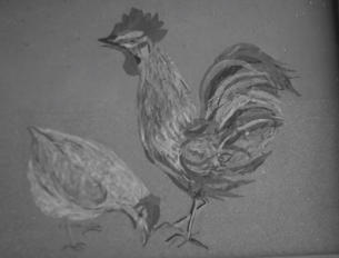 Georgina "Cock & Hen"  6.58