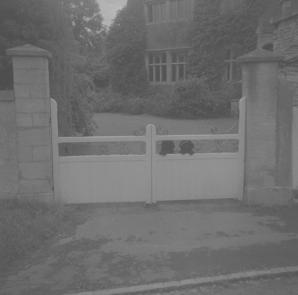 Front gates with poodles.  Hillesley Ho.  July 1962