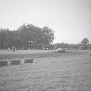 Grass tracking racing  Hawkesbury  24.8.63  
