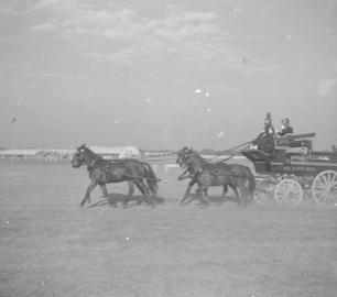 Army Horse Show  Delhi 1952  KSC team returning  30.12.52