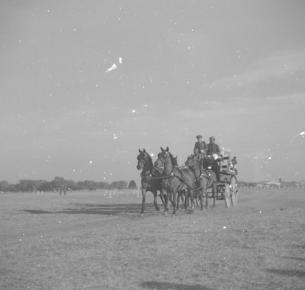 Army Horse Show  Delhi 1952  Remount Depot  30.12.52