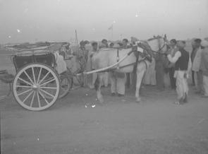 Army Horse Show  Delhi 1952  Lt. Col S K Sands  ASC Team  31.12.52
