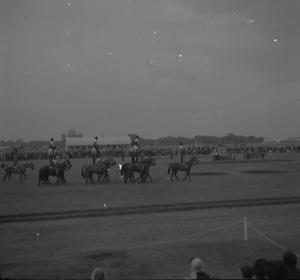 Army Horse Show  Delhi 1952  Vaulting  31.12.52
