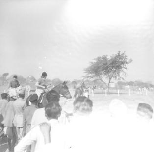 L. Halby and F. Weids in paddock.  14.3.53