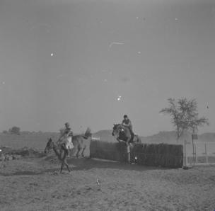 Delhi Hunt Point to Point  1st race  L. Halby and F. Weids  14.3.53