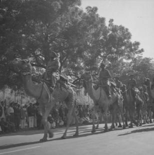 Republic Day Parade  Bih, Camels  26.1.51