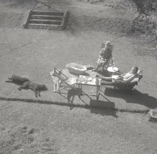 Ruth, Georgina, Bridget and dogs in garden at Hillesley.
