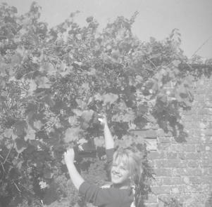 Georgie and grapes  Hillesley Ho.  Sept 59