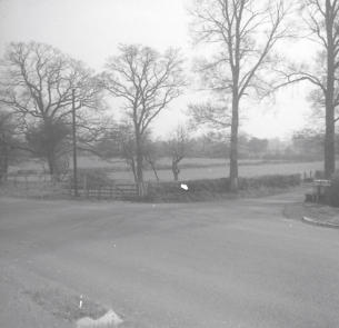 Laid Hedge Newent - Glos Road  4.60