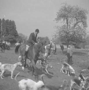 Duke of Beaufort Hunt  Hillesley Meet 60  5.60