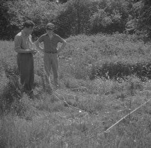 Electrical Excavation  Cirencester  6.60