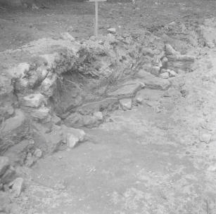 Watermoor Passage field  May 58