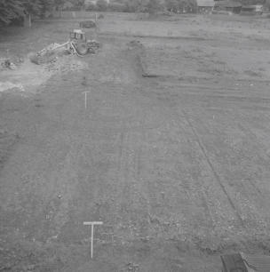 Watermoor Passage field  May 58