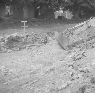 Watermoor Passage field  May 58