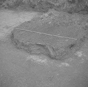 Watermoor Passage field  Stratum above Mosaic  July 58