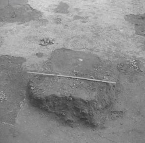 Watermoor Passage field  Stratum above Mosaic  July 58