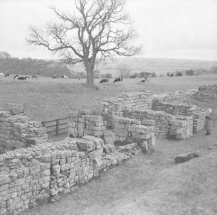 Roman Wall  Birdoswald  East Gate  8.4.58