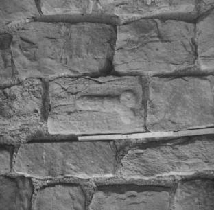 Phallus on Roman Wall, East of Birdoswald  8.4.58