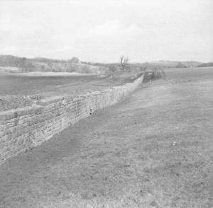 Roman Wall, East of Birdoswald  8.4.58