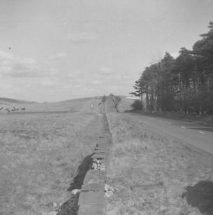 Housesteads Roman Fort  10.4.58