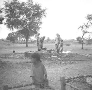 Nalagarh.  Women at well.  26.5.51