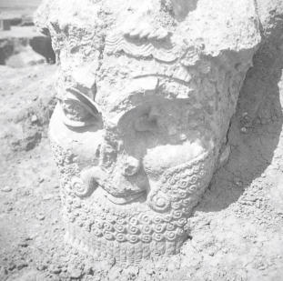 Nirusto Temple  Muka L Halof  Head of winged figure  5.5.56