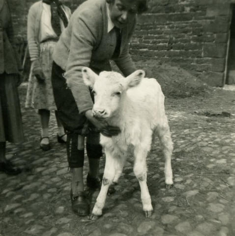 Snowhite with MHP and Georgie in the background.  Caber 25.4.55