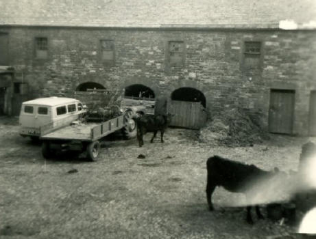 The yard.  Caber  24.4.55